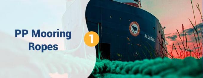 Χονδρικό 220 M λευκό πολυπροπυλένιο PP υψηλής αντοχής 8 ίνες 68 mm 0